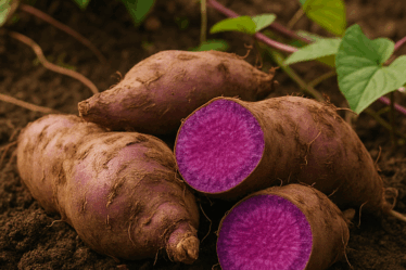 Ube